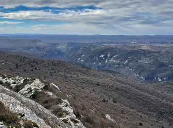 Excursión Senderismo Brissac - Roc blanc  - Photo