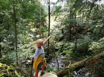 Trail Walking Le Hohwald - cascade de Hohwald - Photo