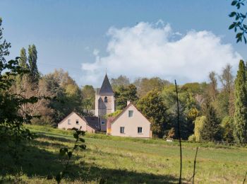 Randonnée Marche Sablons sur Huisne - Le Bois de Condeau 9.4 Km - Photo