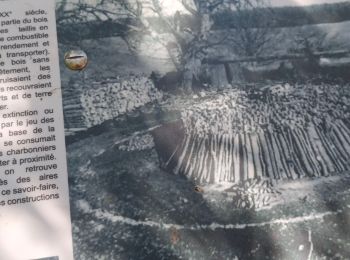 Trail Walking Orgnac-l'Aven - Aven d' Orgnac et Baume de Ronze le 04 mai 2023 - Photo