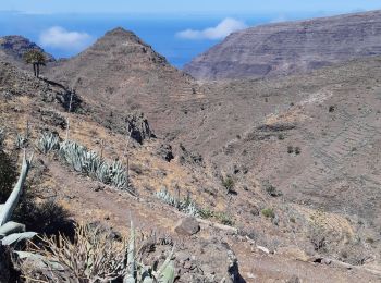 Tocht Stappen Vallehermoso - Canaries - La Gomera  - Valle Gran Rey - jour 6 - Photo