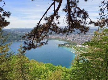 Tocht Stappen Annecy - 09-05-21 Annecy- pre vernet - Photo