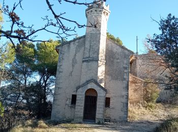 Excursión Senderismo Mazan - Mazan vers Blauvac, Notre Dame des Anges - Photo