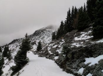 Percorso A piedi Vipiteno - Ridnauner Höhenweg - Photo