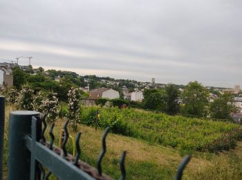 Randonnée Marche Bagneux - Sentier des forts ouest - Photo