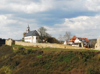 Trail On foot Neu-Bamberg - Küstenweg 1: Rundweg Siefersheim - Wöllstein - Neubamberg - Photo