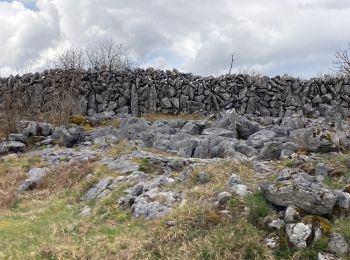 Tour Wandern West Clare Municipal District - Burren - the blue and white trains - Photo