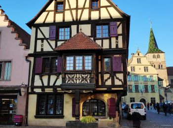 Tocht Stappen Turckheim - autour de Turckheim - Photo