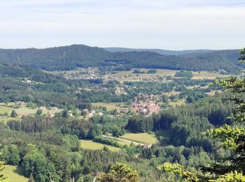 Tour Reiten Le Tholy - 2022-06-02 Rando CVA Le Tholy Tête des Cuveaux - Photo