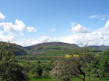 Tocht Te voet Weilheim an der Teck - Weilheim Rundweg 41 - Photo