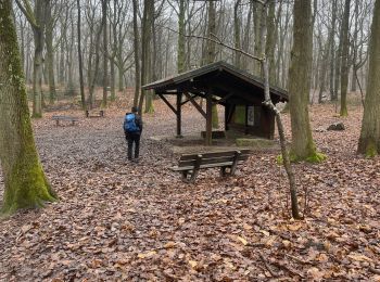 Percorso sport Bruyères-le-Châtel - Bois de La Roche Turpin - Photo