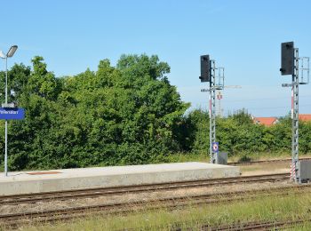 Randonnée A pied Gemeinde Bad Fischau-Brunn - Wöllersdorf - Waldwirtshaus Kürassier - Eisensteinhöhle - Brunn - Photo