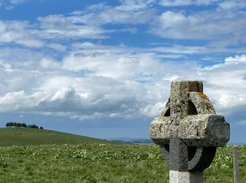 Excursión Senderismo Saint Geniez d'Olt et d'Aubrac - Croix de Rodes Lac de Bonnecombe Signal de Mailhebiau - Photo