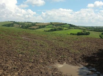 Excursión A pie Teignbridge - Tedbury Circular Walk - Photo