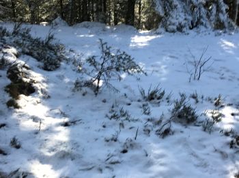 Randonnée Marche Saint-Dié-des-Vosges - Ormont 16kM - Photo