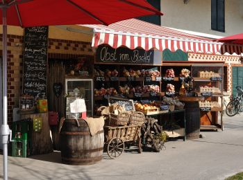 Tocht Te voet Friedrichshafen - Teuringer Bächlepfad - Photo