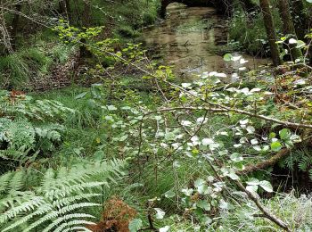 Tour Wandern Beylongue - garricq, rive droite, passerelle poteaux, serres, fontaine des sorcières 9.4 - Photo