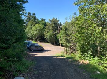 Tocht Stappen Le Claux - Puy de Niermond - Photo