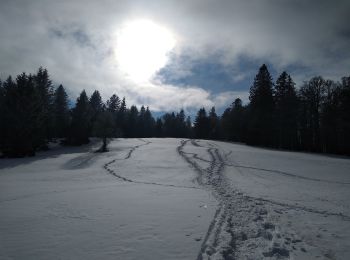 Randonnée Raquettes à neige Ventron - grand ventron raquettes - Photo