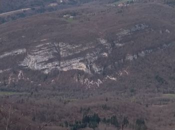 Tocht Stappen Arbent - Ferme de Varenne - Roches de Vaux  - Photo