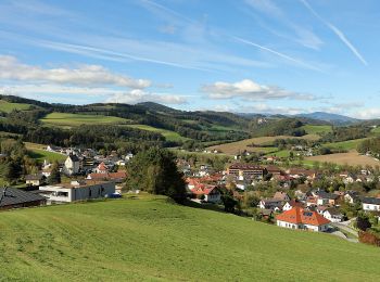 Randonnée A pied Bad Schönau - Rundwanderweg 2 (Bad Schönau) - Photo