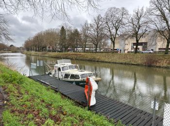 Trail Walking Ghent - Gand 11,7 km - Photo