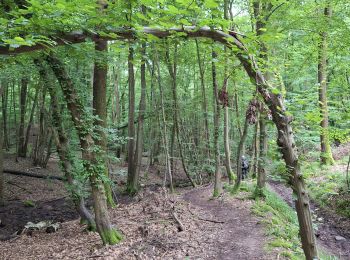 Tour Wandern Leuze-en-Hainaut - balade des 7 meuse - Photo