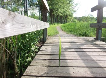 Tour Zu Fuß Neustadt an der Aisch - Schweinbach-Wanderweg - Photo