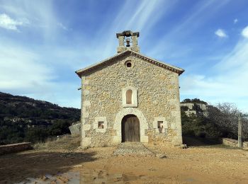 Trail On foot Cornudella de Montsant - Albarca - Photo