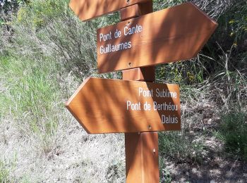 Tocht Stappen Daluis - trace gorges de Daluis - Photo