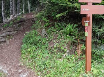 Tocht Stappen Moulinet - Turini- tour de la Calmette - Photo