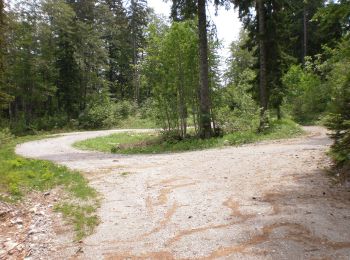 Excursión A pie  - Lubenovačka vrata - Veliki Lubenovac - Photo