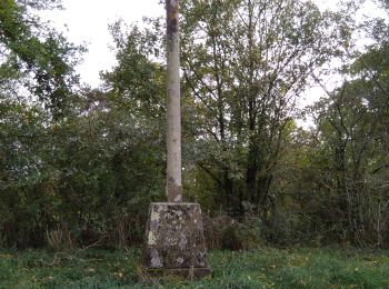 Percorso Marcia Crevant-Laveine - crevant Laveine par les chemins  - Photo