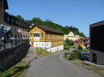 Percorso A piedi Janské Lázně - [M] Janské Lázně - Pod Starou horou - Photo