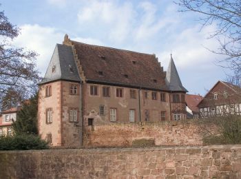 Tocht Te voet Büdingen - Büdingen Tour - Photo