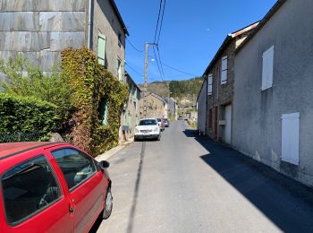 Excursión Senderismo Brassac - Les costes par le Salas - Photo