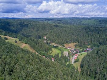 Tocht Te voet Seewald - Hochdorf Sägemühle-Winterhalde - Photo