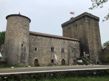 Excursión Senderismo Sainte-Eulalie-de-Cernon - Ste eulalie Viala pas de jaux  - Photo