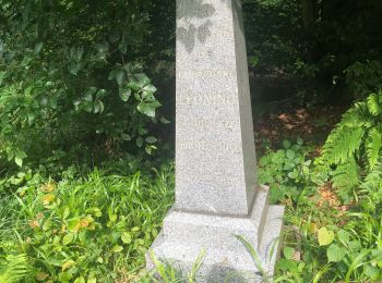 Trail Walking Aumont-en-Halatte - 2019-06-11 13:14:39 - Photo