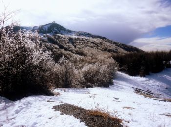 Tour Zu Fuß Santo Stefano d'Aveto - Allegrezze - Monte Maggiorasca - Photo