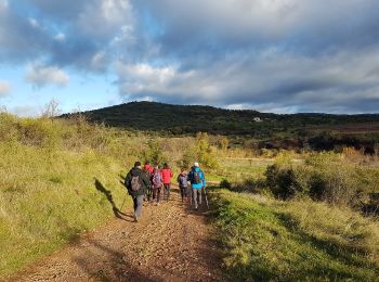 Excursión Senderismo Celles - Vailhés Laulo L'Auverne Salagou - Photo