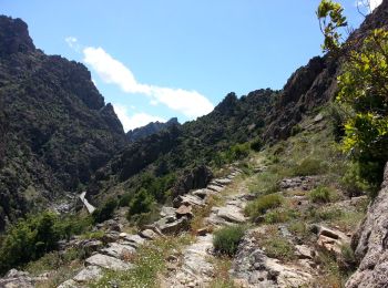 Randonnée Marche Corscia - Corscia - Funtana Vigente de Scala di Santa Regina - AR - 11.2km 545m 4h00 (40mn) - 2013 05 31 - Photo