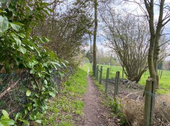 Randonnée Marche Bracle - Everbeek 18,4 km - Photo