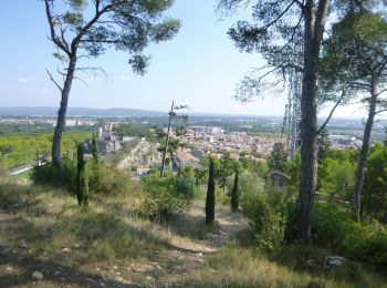 Excursión A pie Beaucaire - Les Trois Croix - Photo