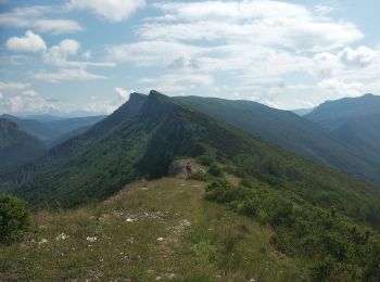 Tour Wandern Rémuzat - Remuzat,les Aiguilles - Photo