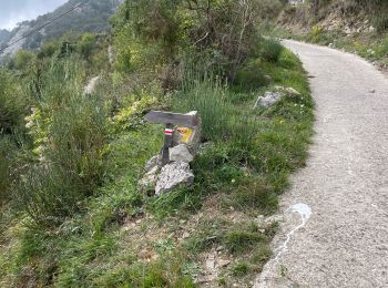 Randonnée sport Sainte-Agnès - Balisage depuis St Agnès vers gorbio 12/10/23 - Photo