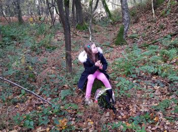 Trail Walking Saint-Ghislain - bois de Baudour - Photo