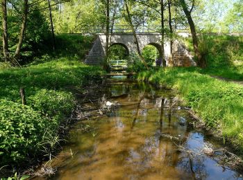 Percorso A piedi Doksy - NS Se Čtyřlístkem okolo Blaťáku - Photo