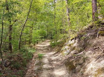 Excursión Senderismo Châtel-Guyon - VALLEE DE SANS SOUCI - CHATEAU DE CHAZERON - Photo