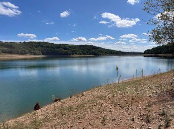 Tocht Stappen Terre-de-Bancalié - Tour du lac de la bancalié - Photo